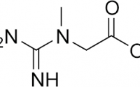 creatine