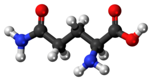 L-Glutamine